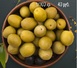 Трио из греческих маслин0